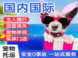 北海福成机场空运国际宠物托运 【国